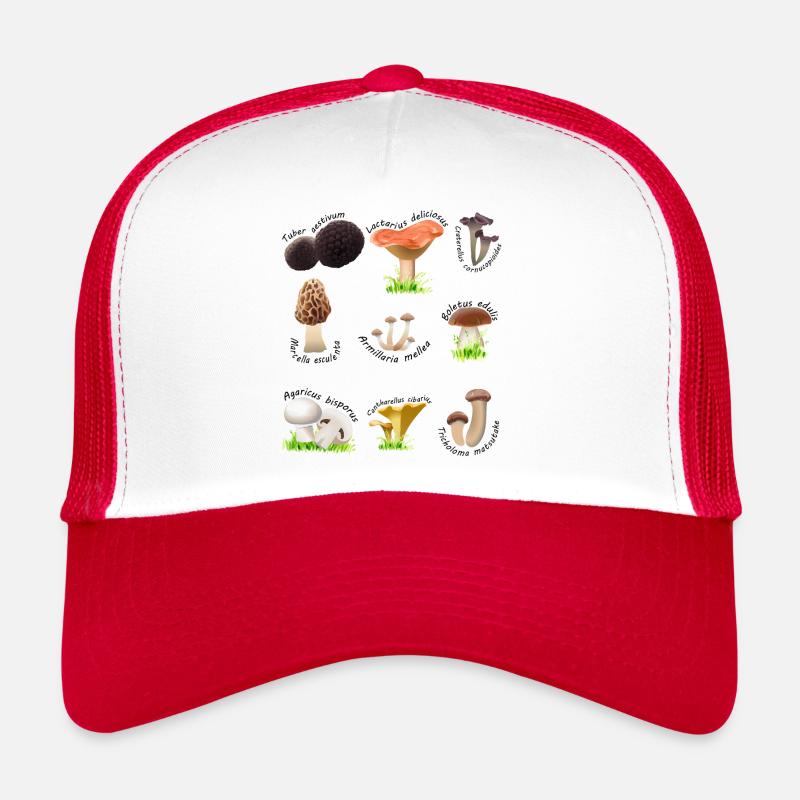 Various edible mushrooms with Latin names Trucker Cap