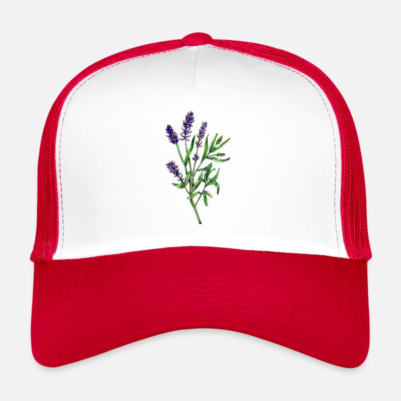 Echter Lavendel, Lavandula angustifolia - Trucker Cap - Weiß/Rot