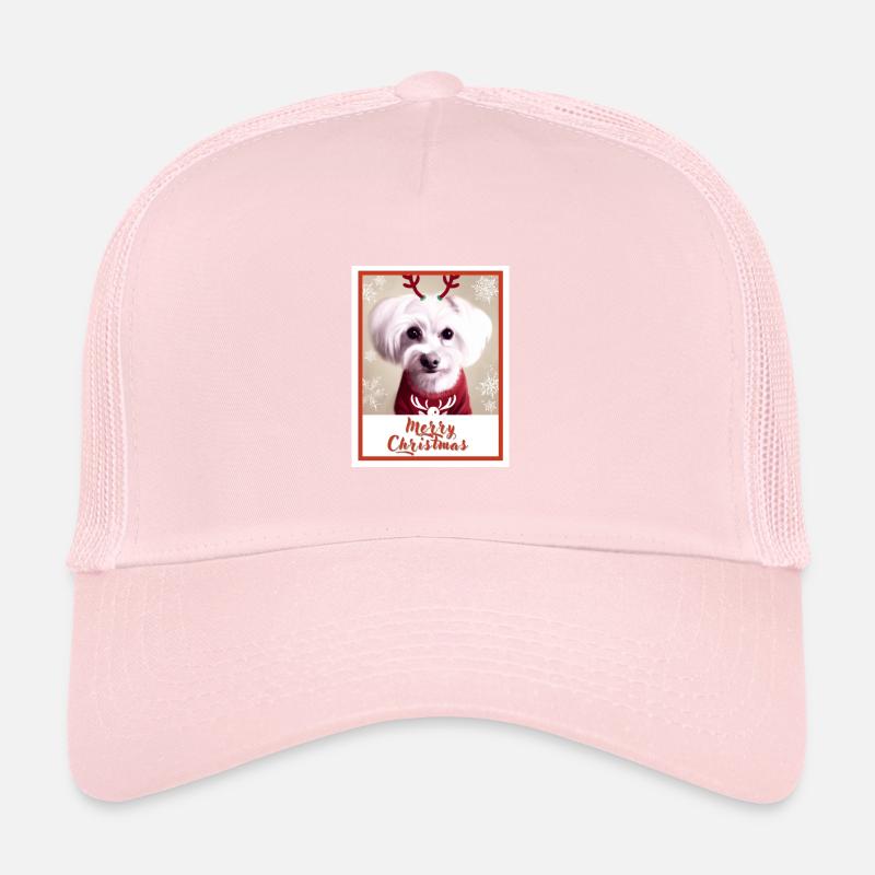 Malteser Hund im roten Weihnachtspullover. Trucker Cap