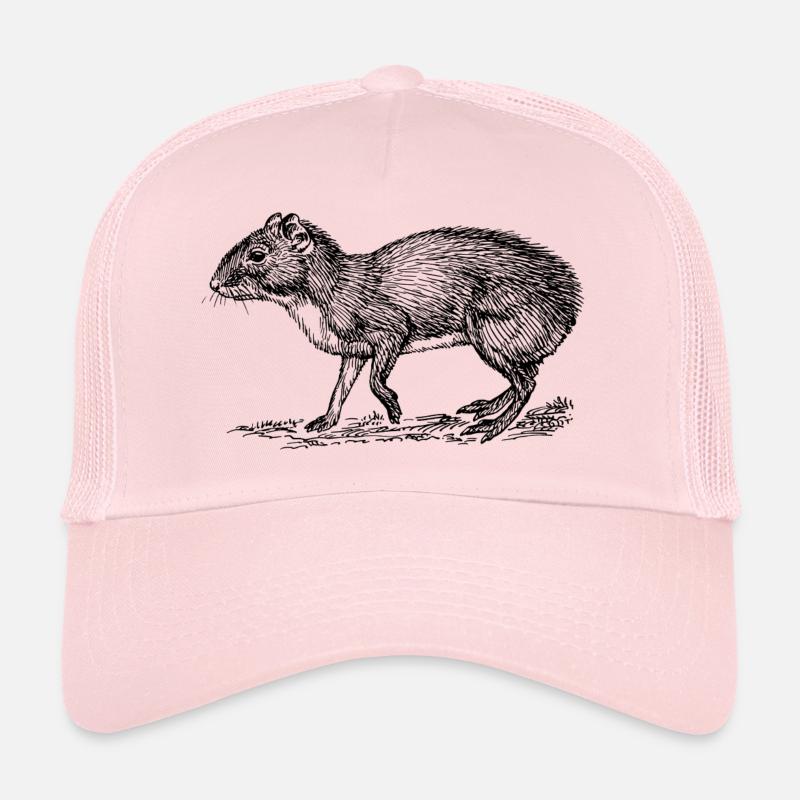 Trucker Cap