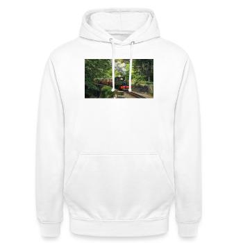 Ffestiniog Idyll - Unisex Hoodie - Weiß - Vorne - AI Model Male 185 dark (185cm) & AI Model Female 172 dark (172cm)