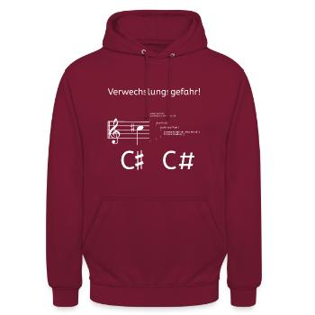 Verwechslungsgefahr Musik Informatik - Musiker - Unisex Hoodie - Bordeaux - Vorne - Alina (178cm) & Michal (187cm)