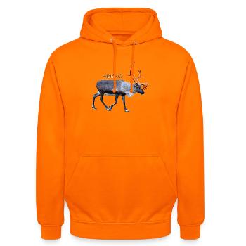 ABISKO Nationalpark Schweden - Unisex Hoodie - Orange - Vorne - AI Model Male 185 light (185cm) & AI Model Female 180 light (180cm)
