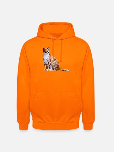 Kat Katte Kat Katte Kat Kærlighed - Hættetrøje unisex - orange