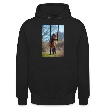 pony exmoor - Unisex Hoodie - black - Front - Alina (178cm) & Michal (187cm)