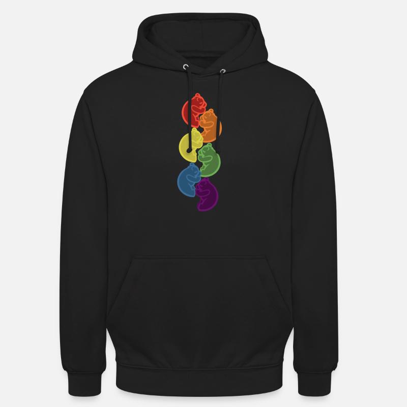 Sleeping Rainbow Bears Lgbt Idée cadeau - Sweat-shirt à capuche unisexe - noir