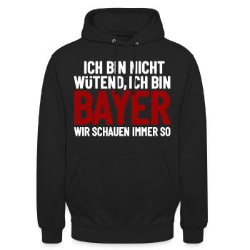 Je ne suis pas en colère, je suis Bavarois - Sweat-shirt à capuche unisexe - noir - Devant - Alina (178cm) & Michal (187cm)