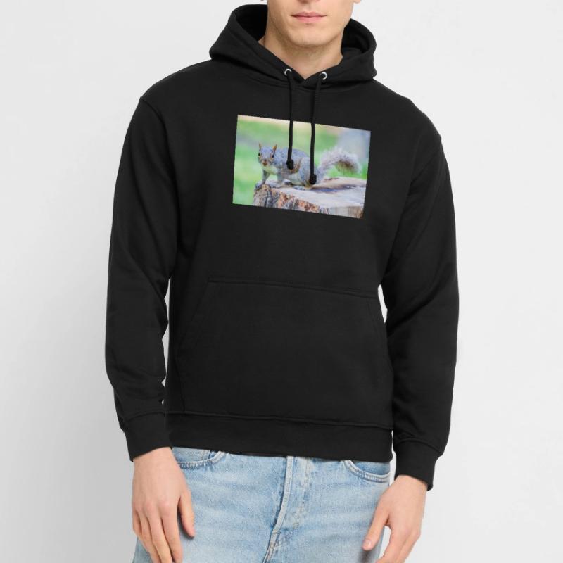 Grey squirrel Grauhörnchen Sciurus carolinensis Unisex Hoodie