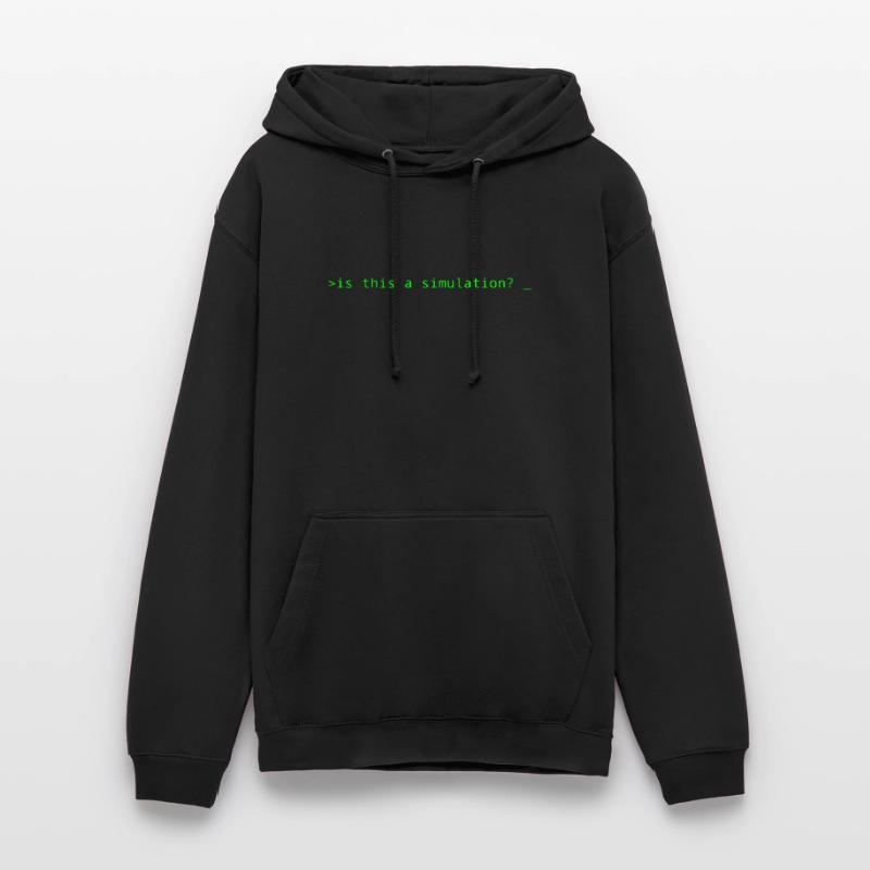 Simulation Programming Informatic Geschenk Spruch Unisex Hoodie