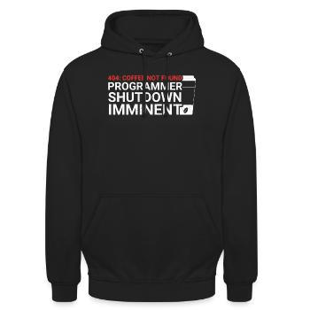 Aus Kaffee Code generieren Programmierer - Unisex Hoodie - Schwarz - Vorne - Alina (178cm) & Michal (187cm)