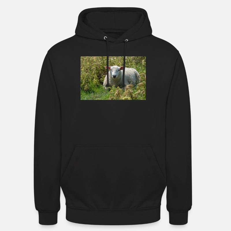 Moutons allongés dans l’herbe - Affiche - Sweat-shirt à capuche unisexe - noir