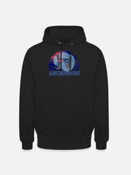 Ascension - Unisex Hoodie - black