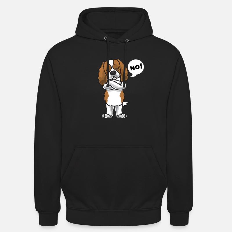 Stuer Cavalier King Charles Spaniel - Sweat-shirt à capuche unisexe - noir