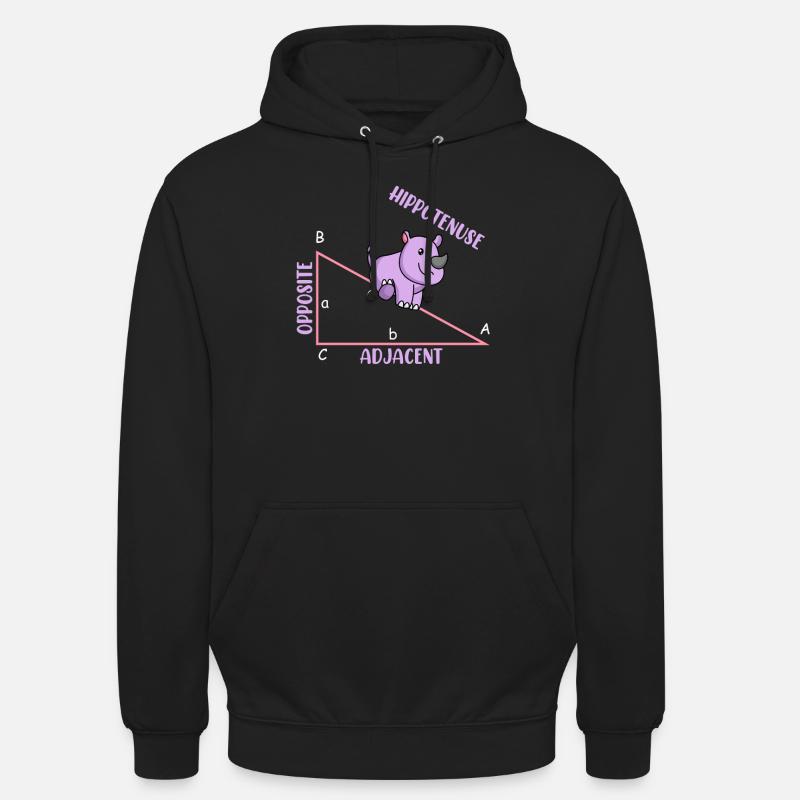 Mathématicien Professeur de mathématiques Hippotenuse - Sweat-shirt à capuche unisexe - noir