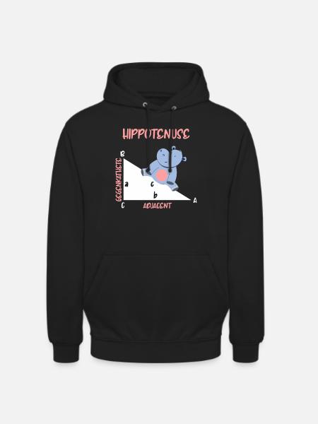 Mathematician Hippotenuse Hippo Triangle - Unisex Hoodie - black