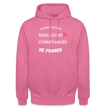 Buchhalter - Wirtschaft - Buchhaltung - Unisex Hoodie - Pink - Vorne - Alina (178cm) & Michal (187cm)