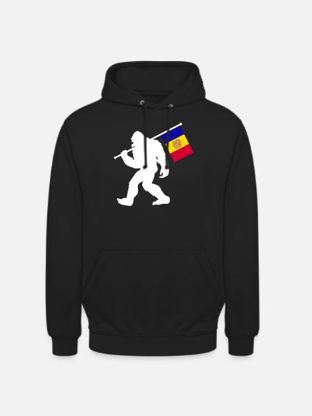Andorre - Sweat-shirt à capuche unisexe - noir