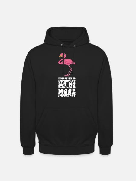 Funny flamingo graphics - Unisex Hoodie - black