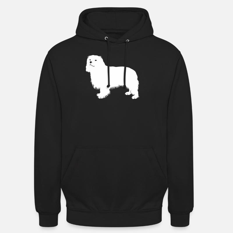 Cavalier King Charles Spaniel - Sweat-shirt à capuche unisexe - noir