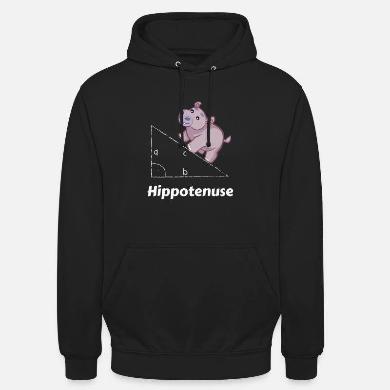 Hippotenuse Maths Geek - Sweat-shirt à capuche unisexe - noir