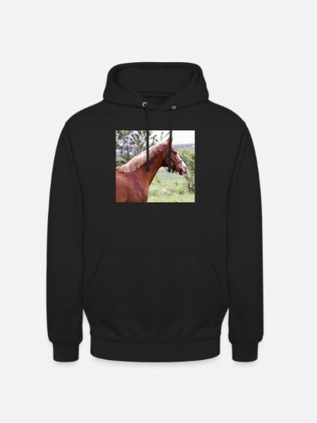Cheval. Cheval. - Sweat-shirt à capuche unisexe - noir