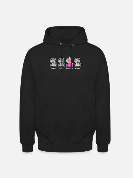 Appaloosa Einhorn - Unisex Hoodie - Schwarz