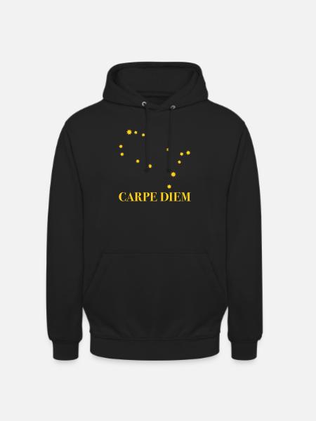 Carpe Diem used the day constellation Gemini - Unisex Hoodie - black