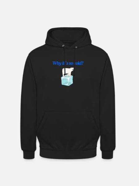 Why it s so cold? - Unisex Hoodie - Schwarz
