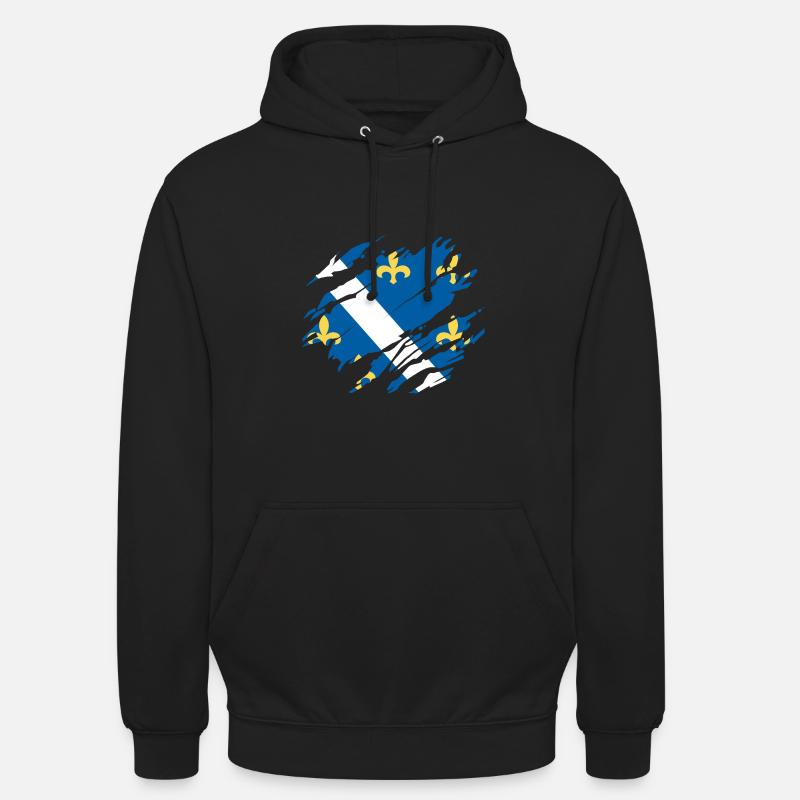 Drapeau de Bosnie Bosna - Sweat-shirt à capuche unisexe - noir