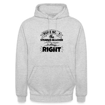 STEAMER-BLOCKER lustiges Geschenk - Unisex Hoodie - Hellgrau meliert - Vorne - Alina (178cm) & Michal (187cm)