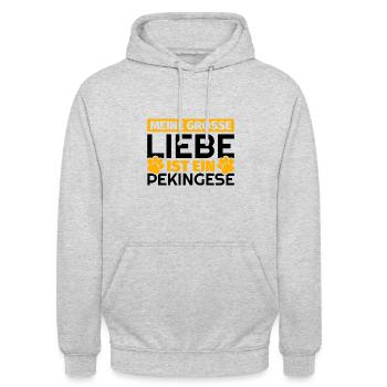 Pekingese Geschenke lustig - Unisex Hoodie - Hellgrau meliert - Vorne - Alina (178cm) & Michal (187cm)