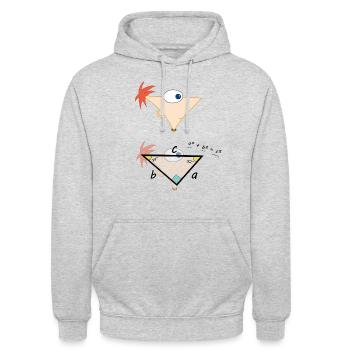 Mathematic Phineas Head - Unisex Hoodie - Hellgrau meliert - Vorne - Alina (178cm) & Michal (187cm)