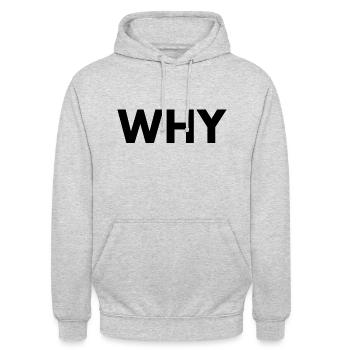 Why - Unisex Hoodie - light heather grey - Front - Alina (178cm) & Michal (187cm)