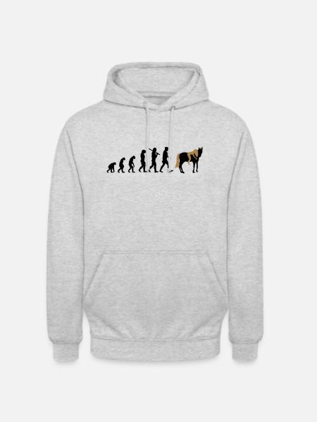 Evolution Reiterin Pferd - Unisex Hoodie - Hellgrau meliert