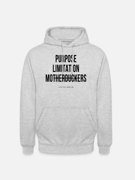 Purpose limitation Principle - GDPR - Sweat-shirt à capuche unisexe - gris clair chiné