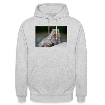 Banded Mongoose Zebra Mongoose Zebramanguste - Unisex Hoodie - light heather grey - Front - Alina (178cm) & Michal (187cm)