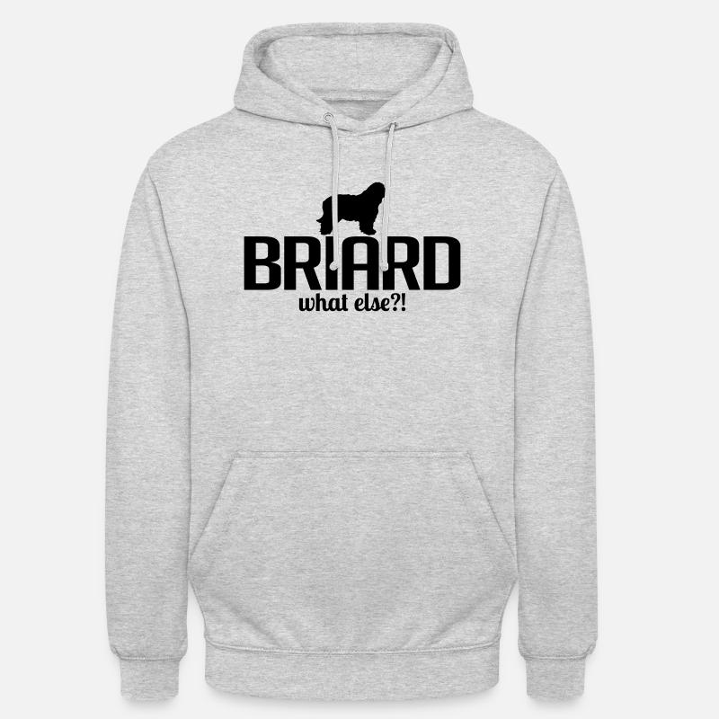 BRIARD whatelse - Sweat-shirt à capuche unisexe - gris clair chiné