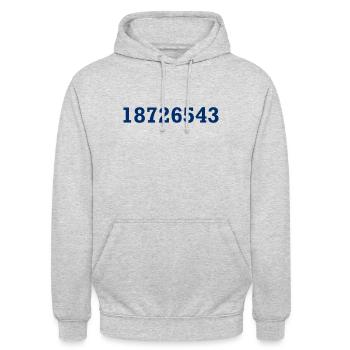 18726543 - LS V8 - Zündreihenfolge - Zylinder - Unisex Hoodie - Hellgrau meliert - Vorne - Alina (178cm) & Michal (187cm)