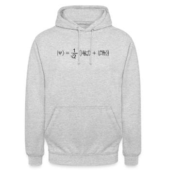 Schrödingers Katze - Unisex Hoodie - Hellgrau meliert - Vorne - Alina (178cm) & Michal (187cm)