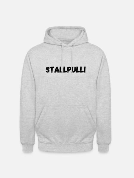 Sallpulli - Unisex Hoodie - Hellgrau meliert