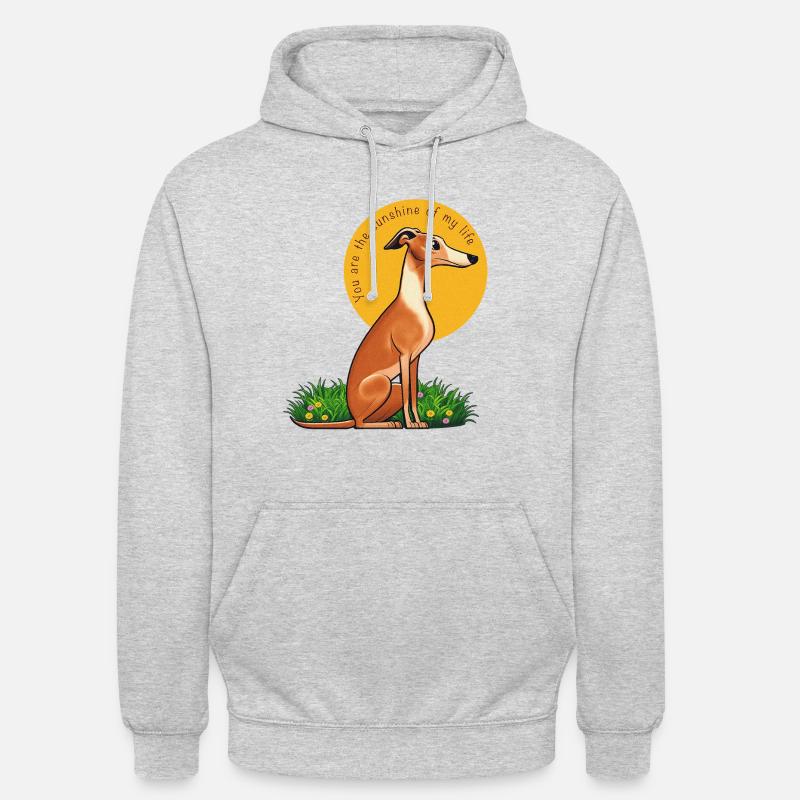 Tu es le soleil de ma vie - Sweat-shirt à capuche unisexe - gris clair chiné