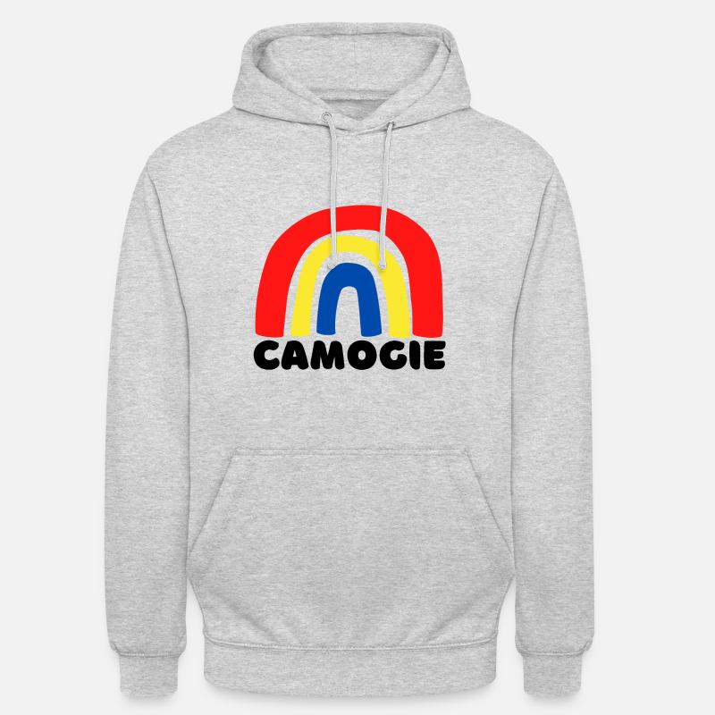 Arc-en-ciel camogie - Sweat-shirt à capuche unisexe - gris clair chiné