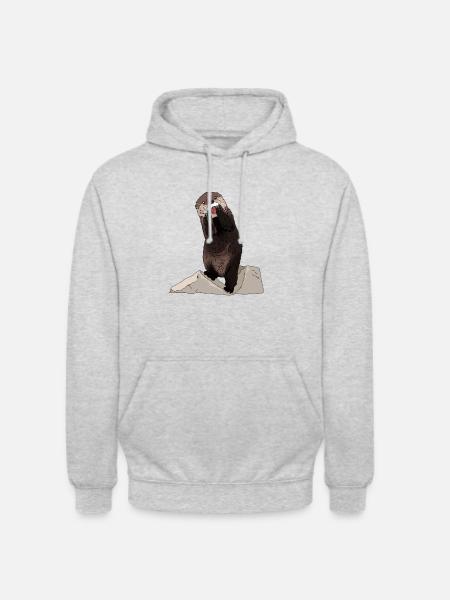 Makea saukko kivi- ja kalalahja-ajatuksella - Unisex-huppari - meleerattu vaaleanharmaa