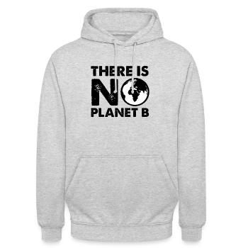Il n’y a pas de durabilité de l’environnement de la planète B - Sweat-shirt à capuche unisexe - gris clair chiné - Devant - Alina (178cm) & Michal (187cm)
