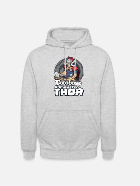 Viking Databaseadministra-thor Nerdy - Sweat-shirt à capuche unisexe - gris clair chiné