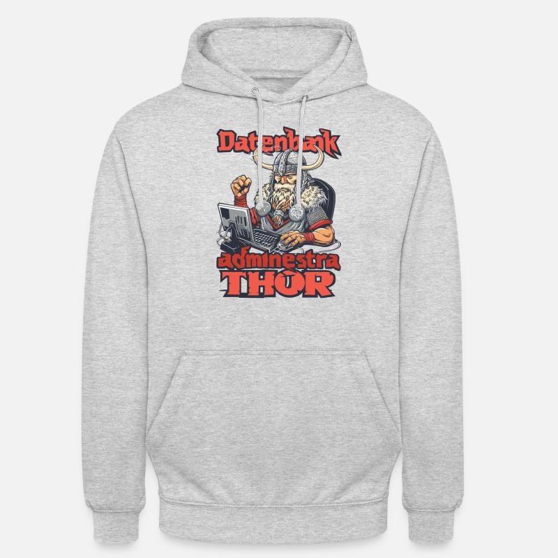 Datenbankadministrathor Codierung Datenanalyst - Unisex Hoodie - Hellgrau meliert