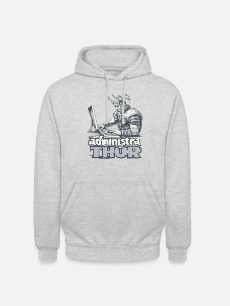 Viking Databaseadministra-thor Nerdy - Sweat-shirt à capuche unisexe - gris clair chiné