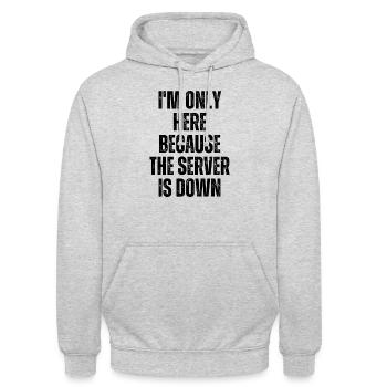 Ich bin nur hier, weil der Server lustig ausgefallen ist - Unisex Hoodie - Hellgrau meliert - Vorne - Alina (178cm) & Michal (187cm)