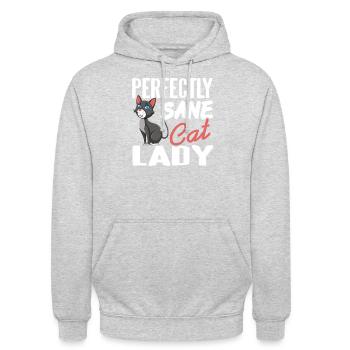 Parfaitement sain d’ chat dame drôle sarcastique humour animal de compagnie - Sweat-shirt à capuche unisexe - gris clair chiné - Devant - Alina (178cm) & Michal (187cm)