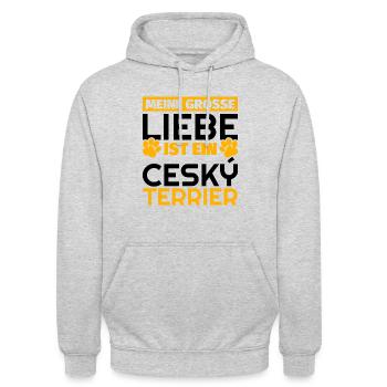 Ceský Terrier Geschenke lustig - Unisex Hoodie - Hellgrau meliert - Vorne - Alina (178cm) & Michal (187cm)